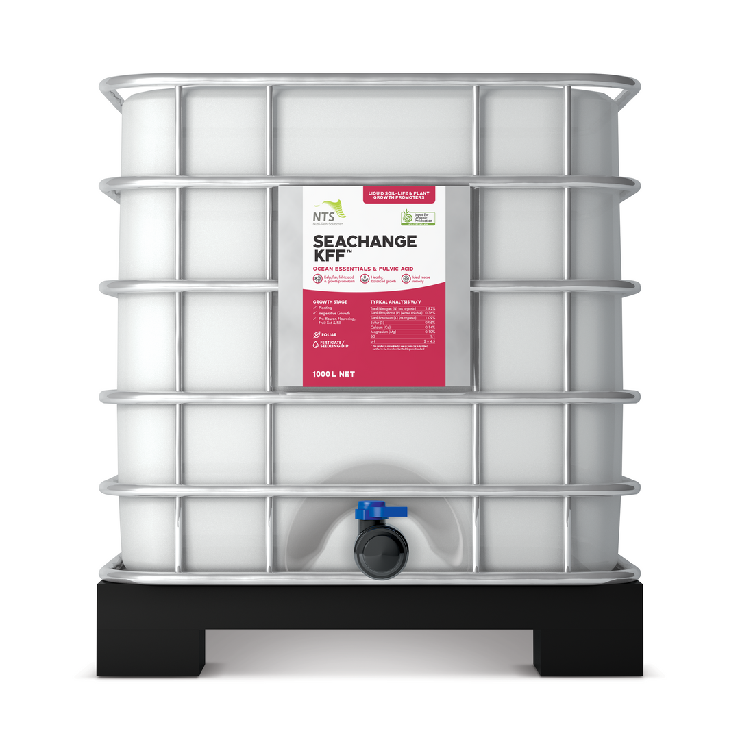 SeaChange KFF™