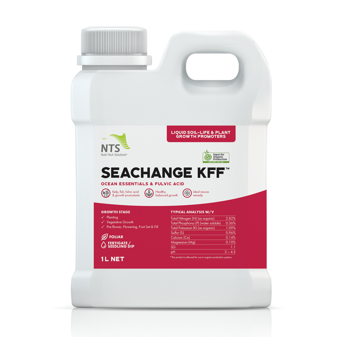 SeaChange KFF™