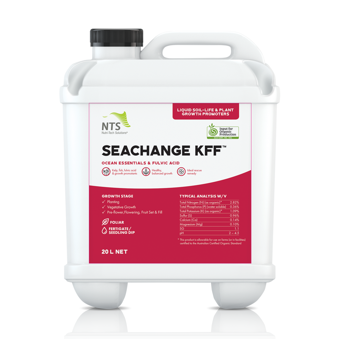 SeaChange KFF™