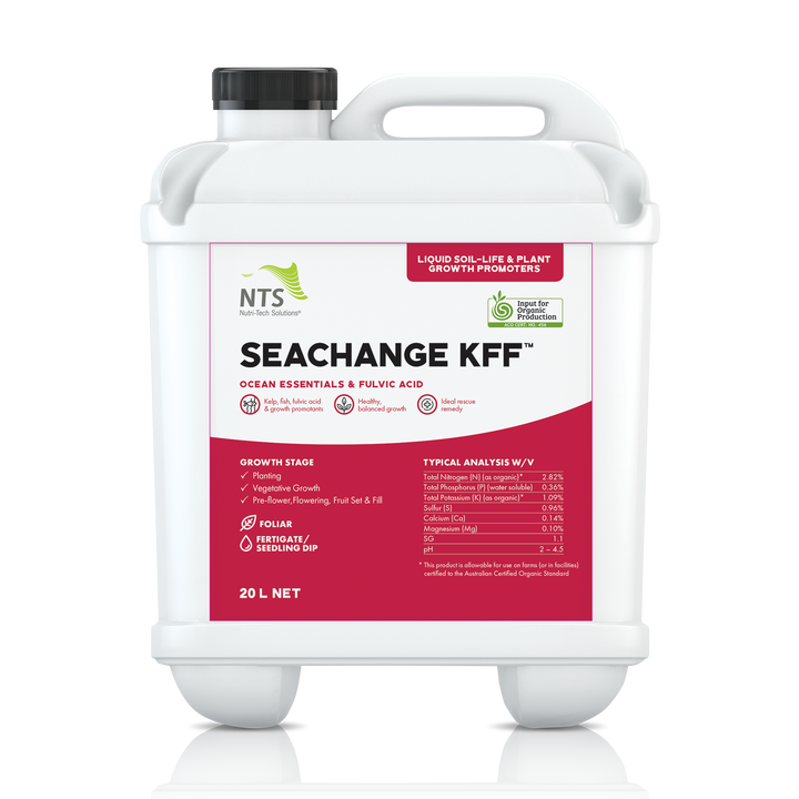 SeaChange KFF™