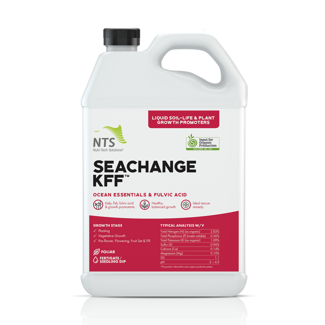 SeaChange KFF™