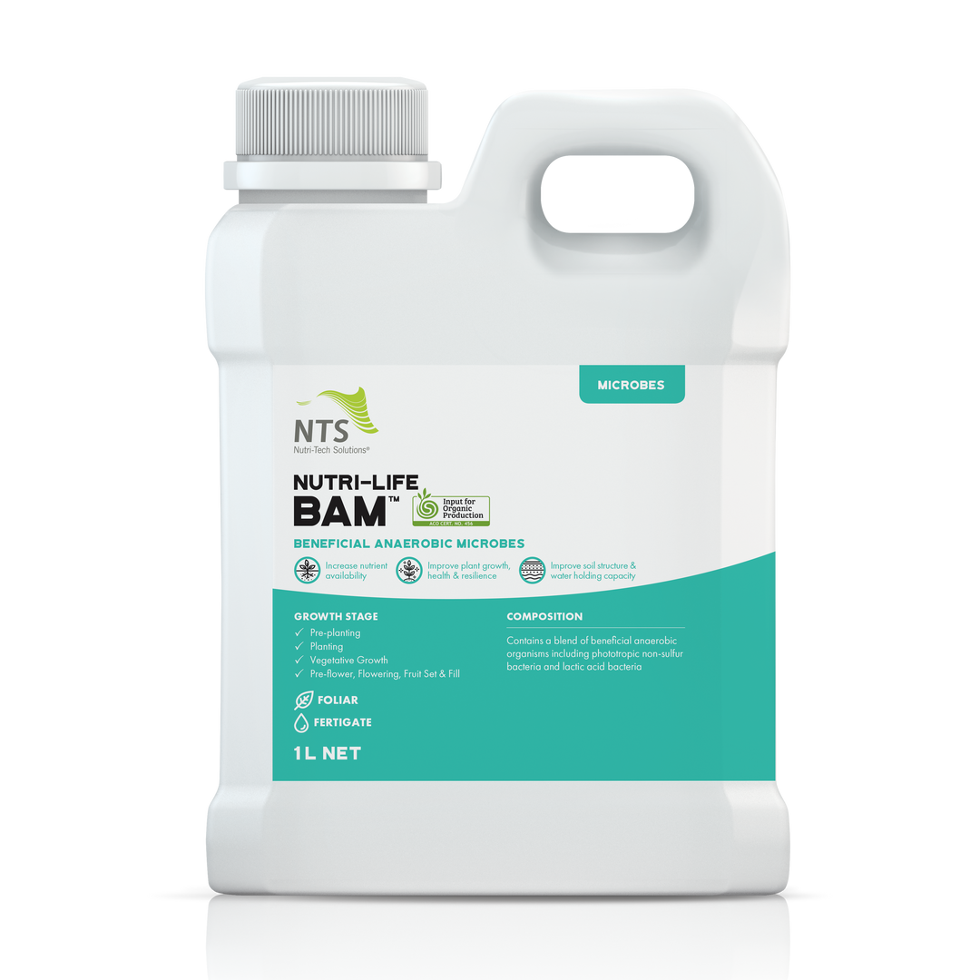 A photograph of NTS Nutri-Life BAM Beneficial Anaerobic Microbes microbial fertiliser in 1 L container on transparent background