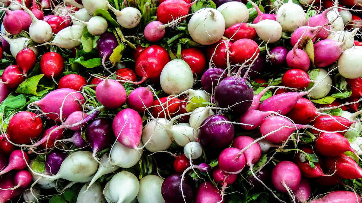 Radish - NTS Fertiliser Guide – Nutri-Tech Solutions Pty Ltd