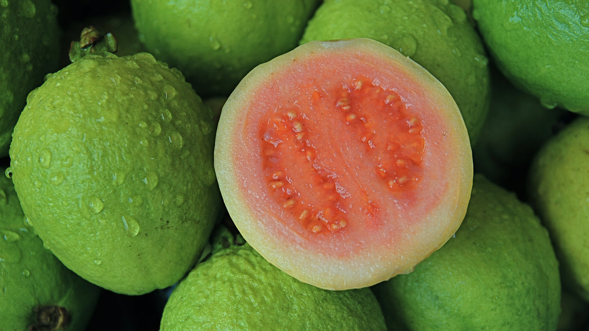 Guava - NTS Fertiliser Guide – Nutri-Tech Solutions Pty Ltd