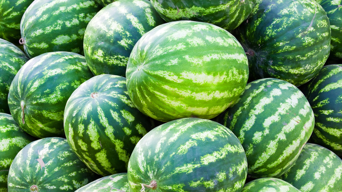 Melon - NTS Fertiliser Guide – Nutri-Tech Solutions Pty Ltd