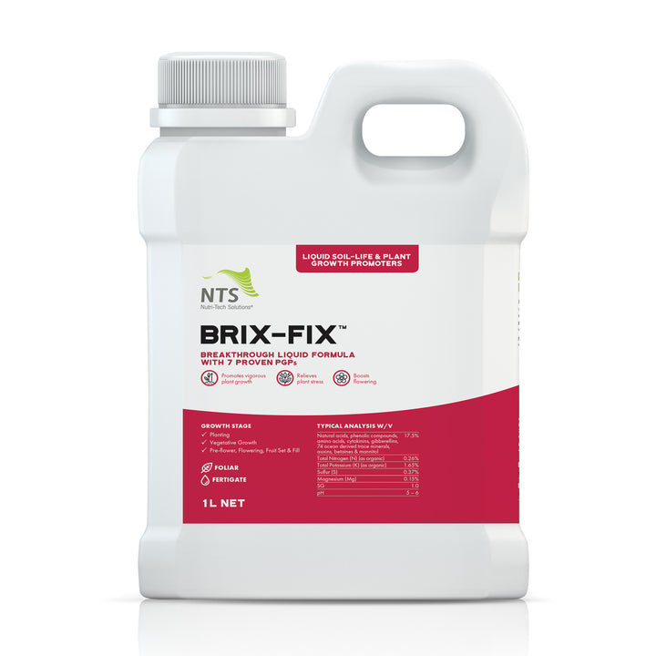 Brix-Fix™