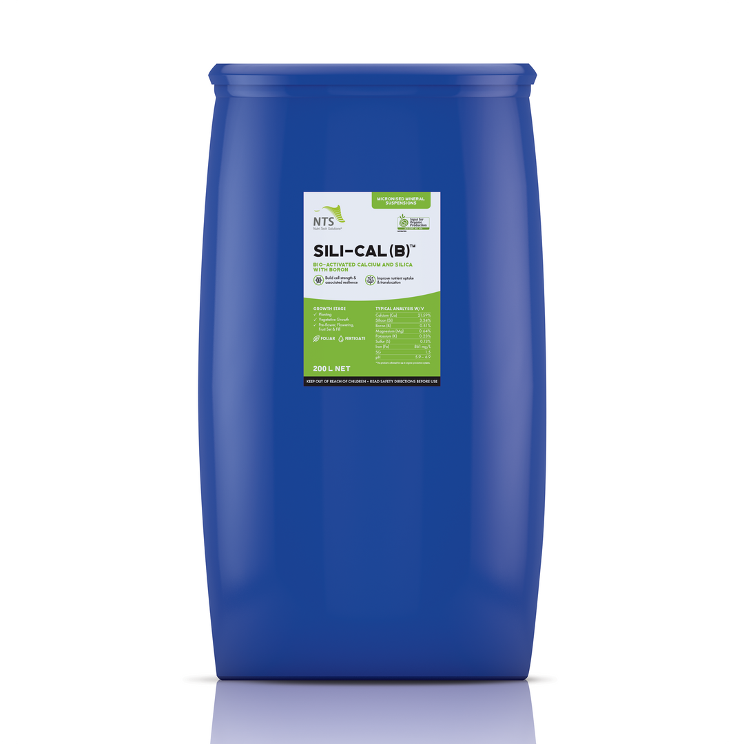 Sili-Cal (B)™