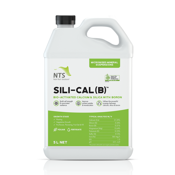 Sili-Cal (B)™