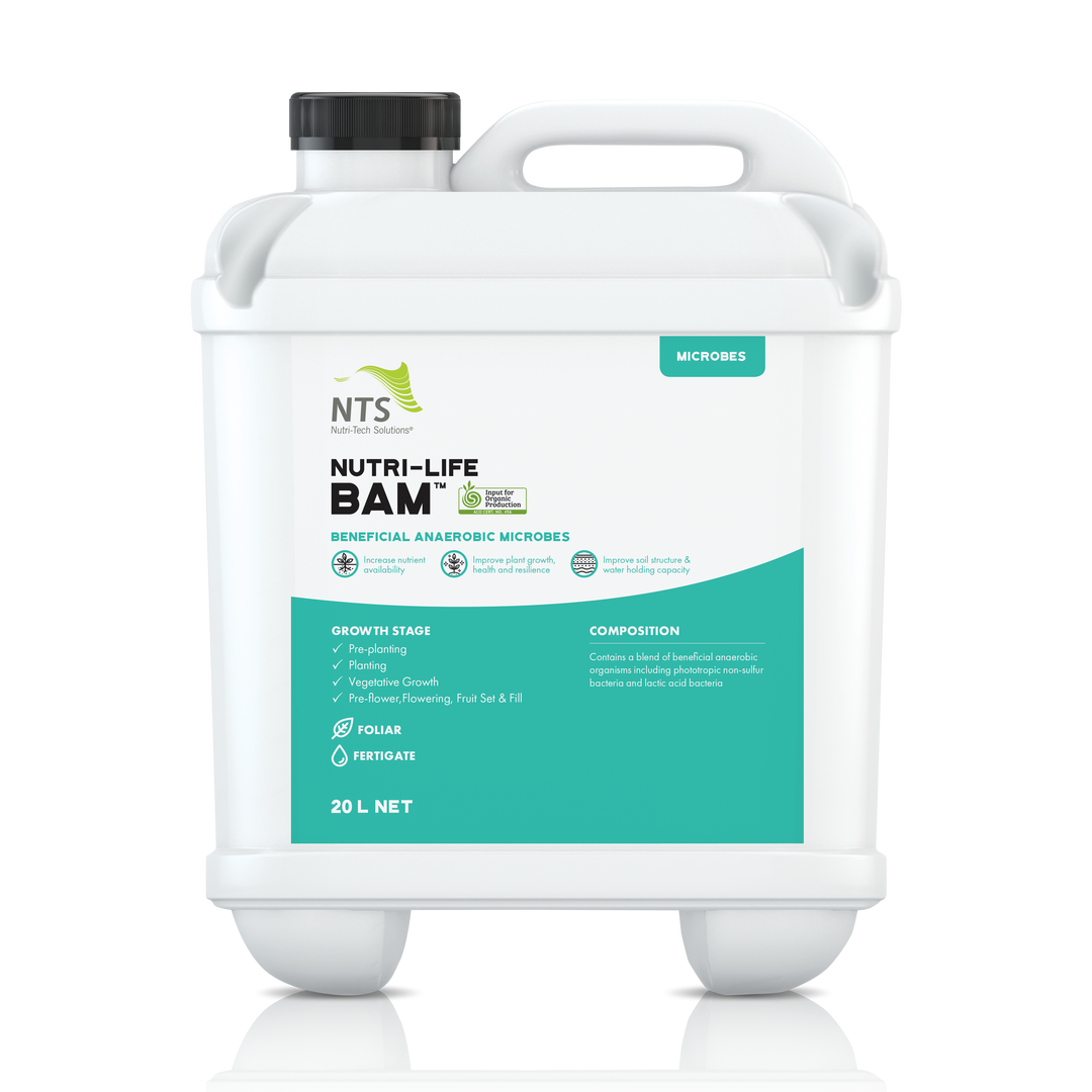 A photograph of NTS Nutri-Life BAM Beneficial Anaerobic Microbes microbial fertiliser in 20 L container on transparent background