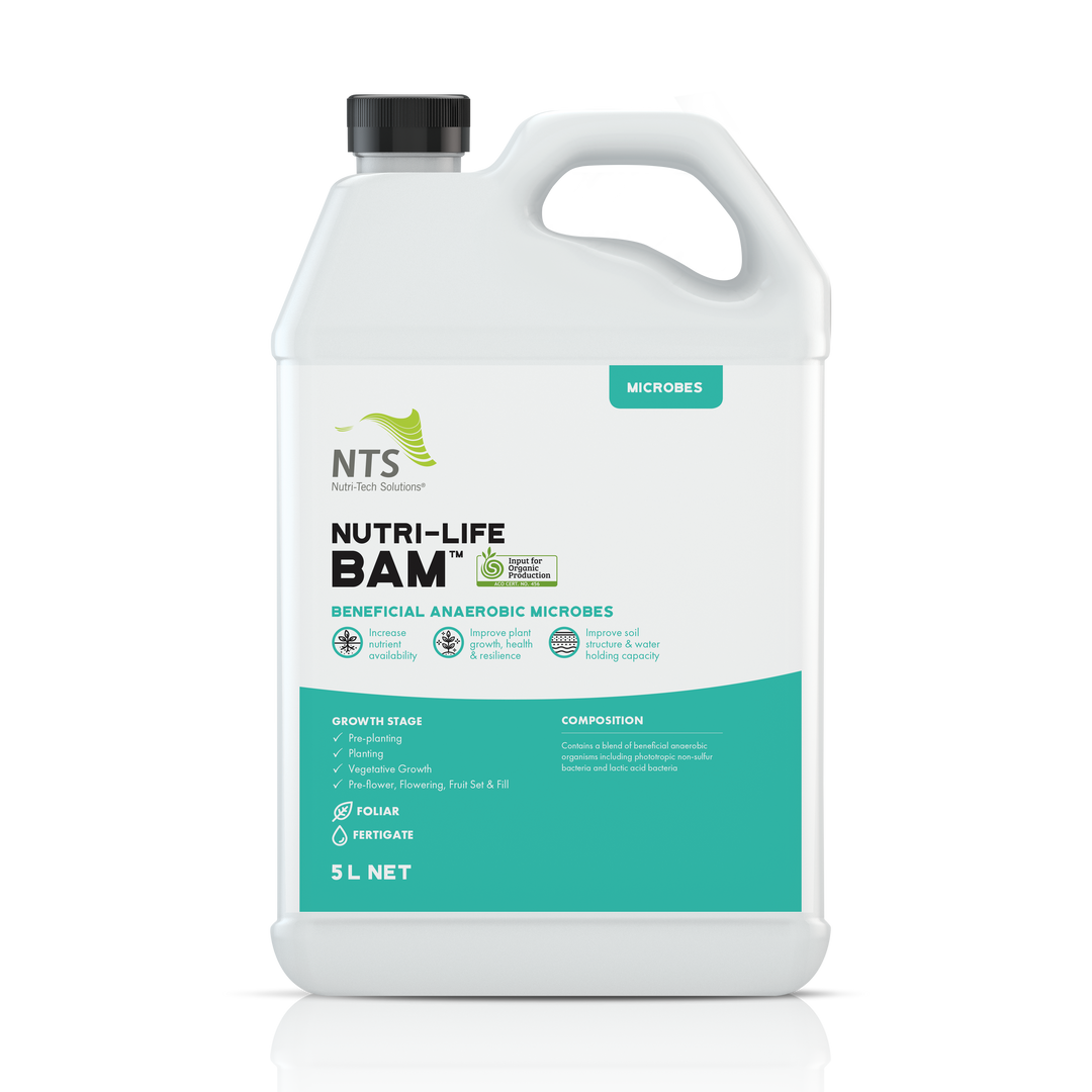 A photograph of NTS Nutri-Life BAM Beneficial Anaerobic Microbes microbial fertiliser in 5 L container on transparent background