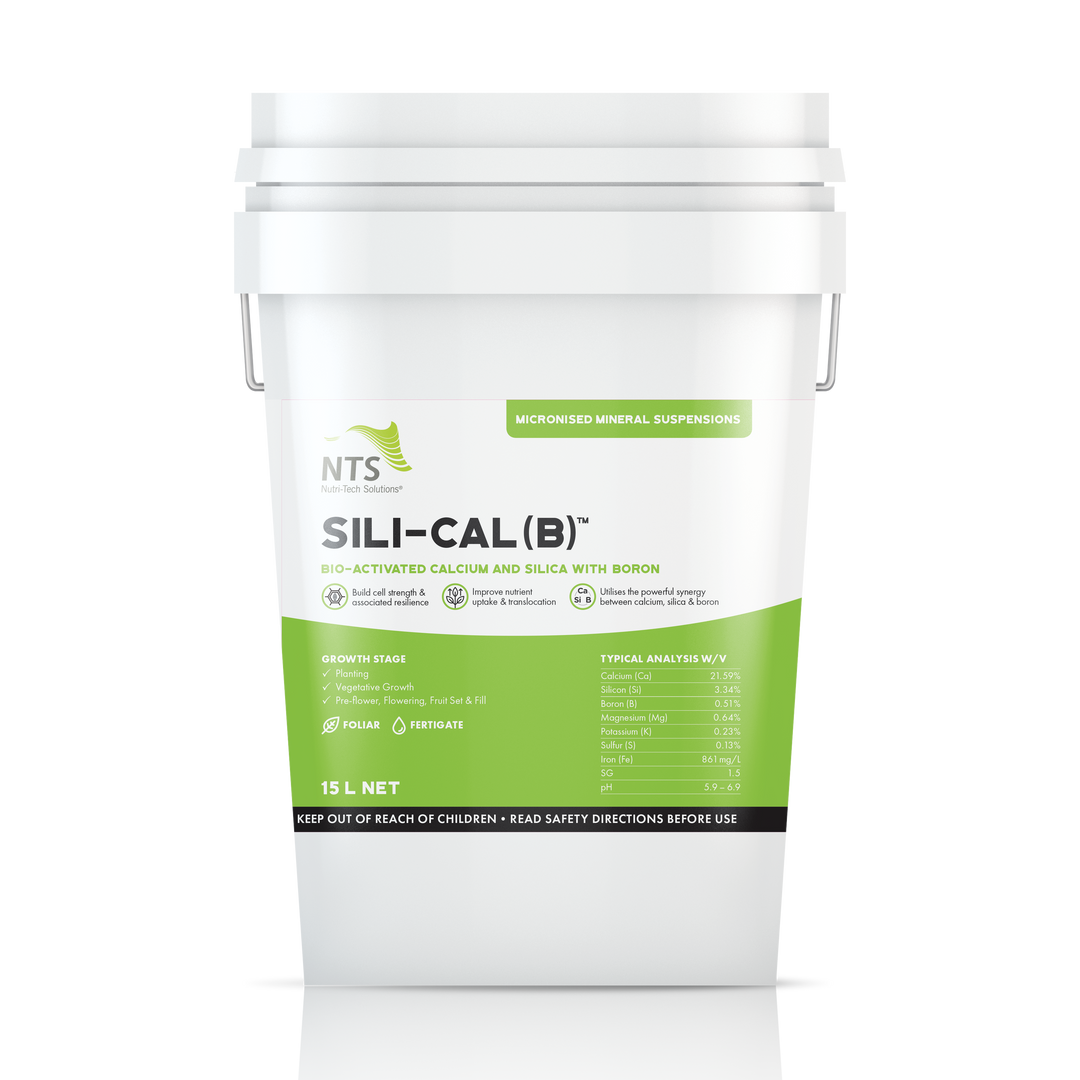 Sili-Cal (B)™