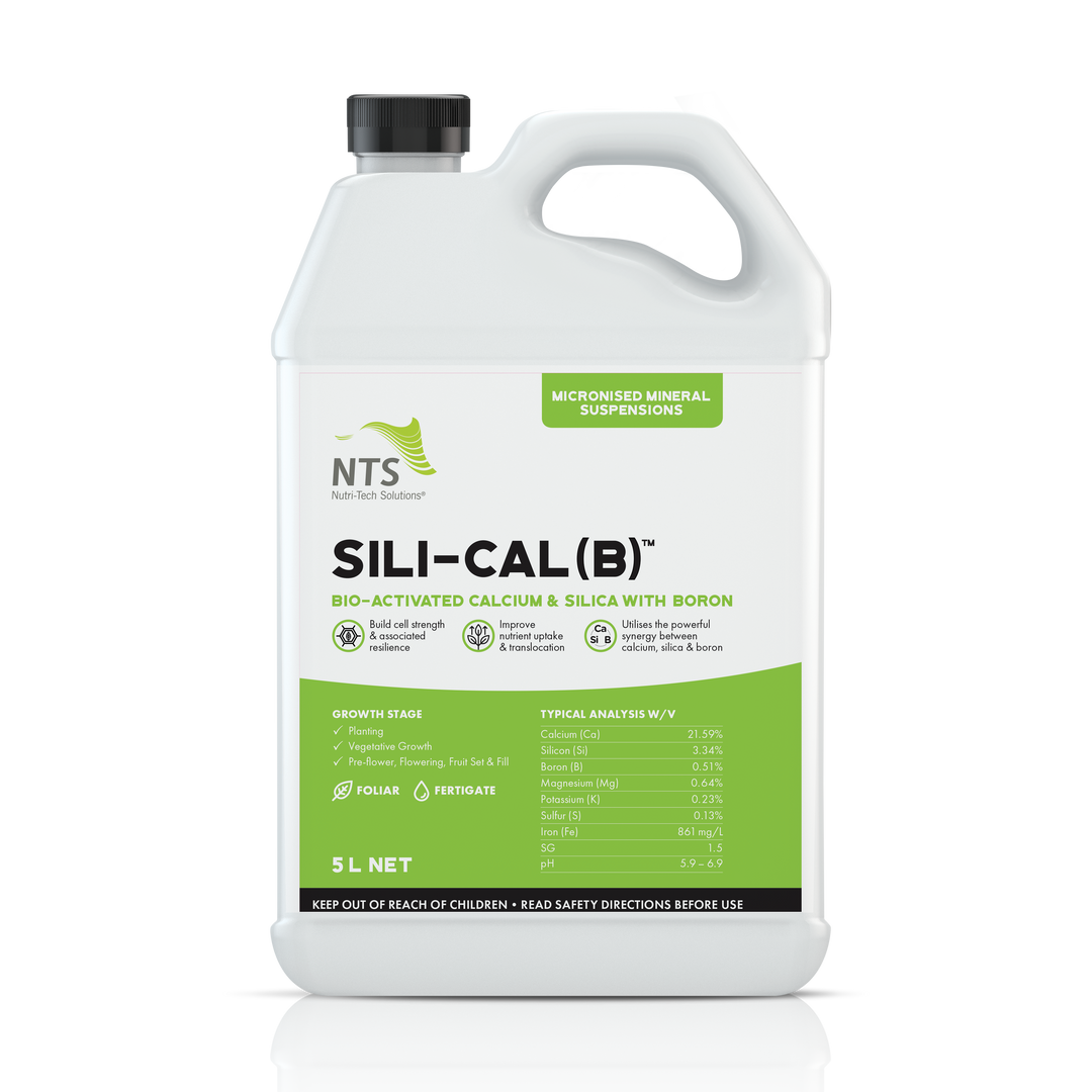 Sili-Cal (B)™