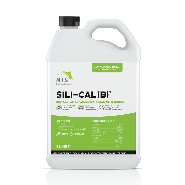 Sili-Cal (B)™